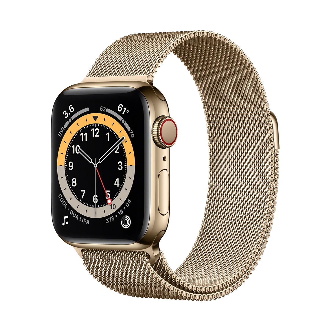 apple-watch-series-6-gold-stainless-steel-case-with-milanese-loop