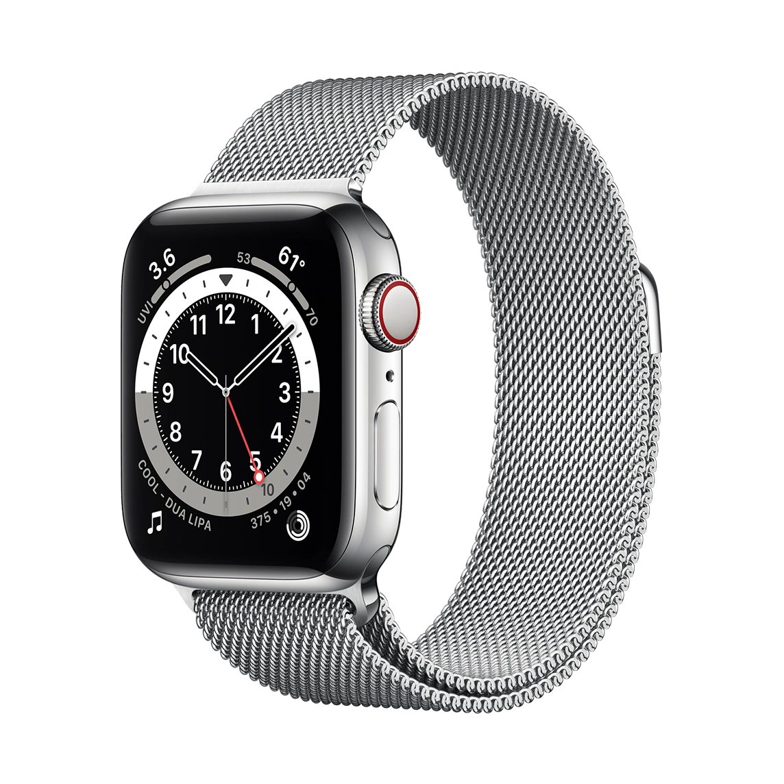 apple-watch-series-6-silver-stainless-steel-case-with-milanese-loop