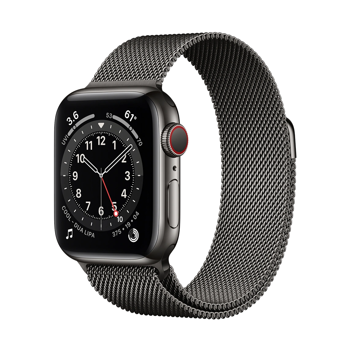 apple-watch-series-6-graphite-stainless-steel-case-with-milanese-loop