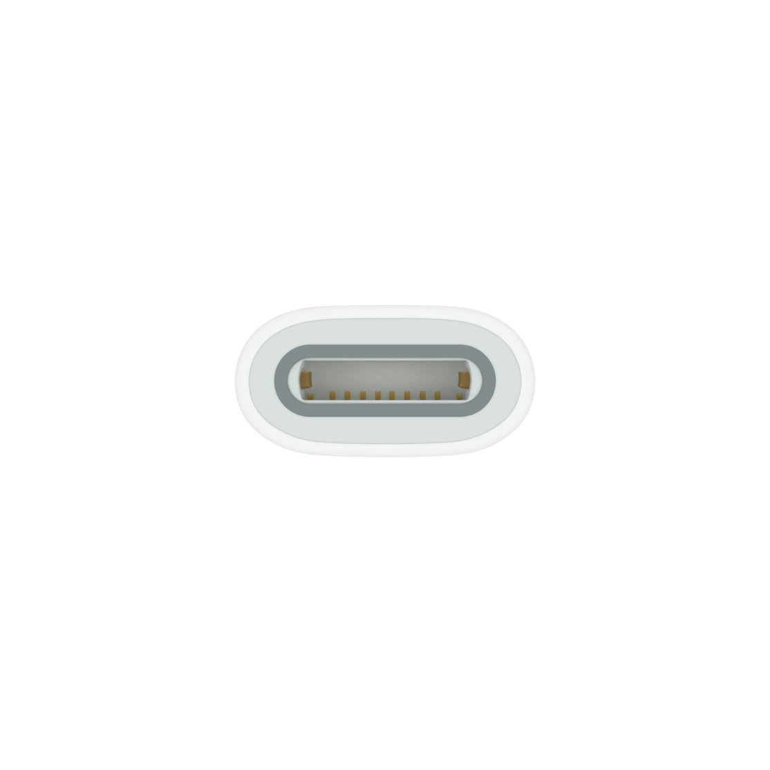 Apple USB-C to Apple Pencil 1st Generation Adaptor-1