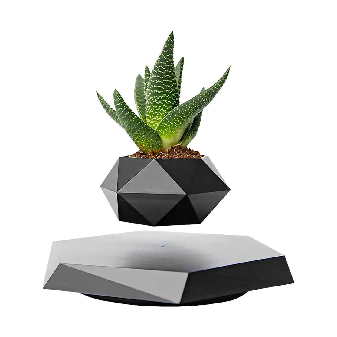 Floating Flower Pot Magnetic Levitation