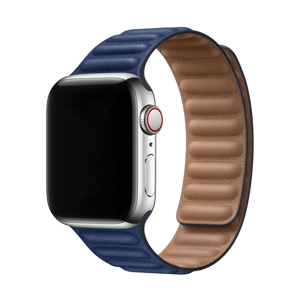 Apple Watch Series 10 Salte Titanium Case with Milanese Loop band